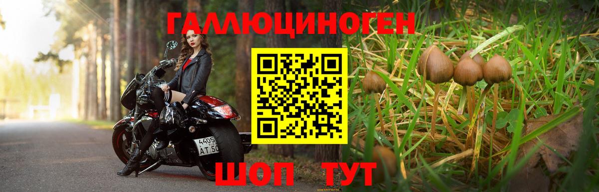 Псилоцибиновые грибы прущие грибы  Вход с VPN  Отрадное 